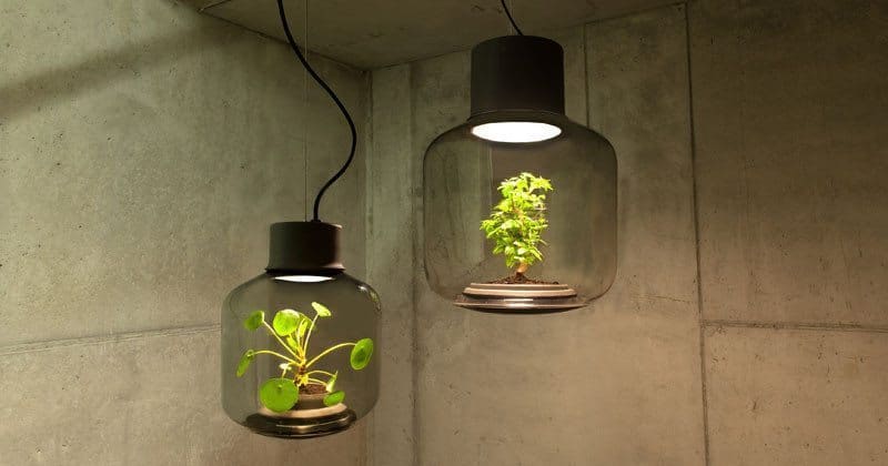 Self-Sustaining Grow Lamps Can Grow Cannabis Undisturbed For Years