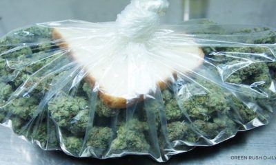 Hacks To Save Dried Out Weed