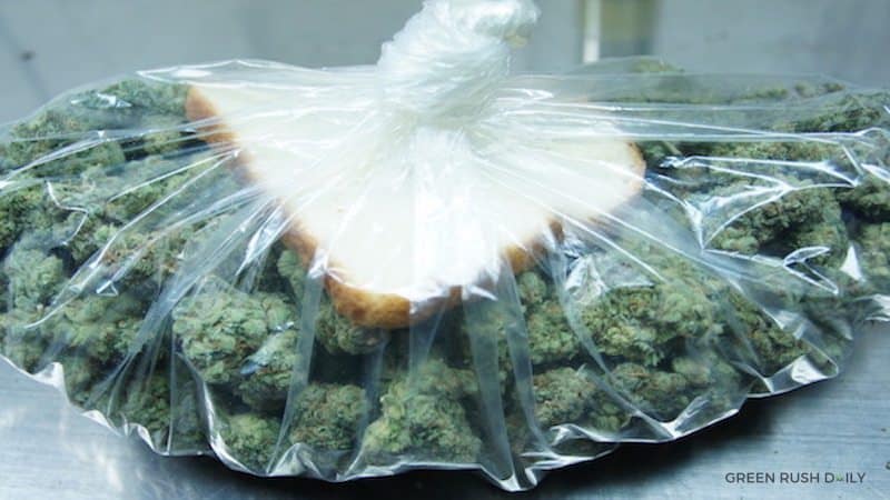 Hacks To Save Dried Out Weed