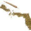 Florida Passes Medical Marijuana Bill