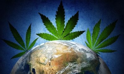 Which Country Consumes The Most Marijuana