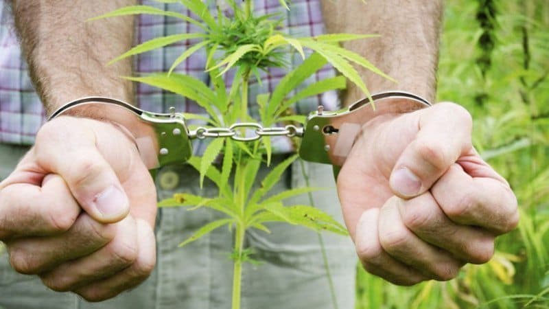 Marijuana Decriminalization Saved Philadelphia $4.4 Million