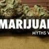 5 Biggest Marijuana Myths Debunked