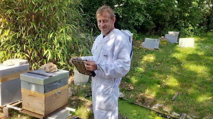 Французский пчеловод научился делать мёд из конопли