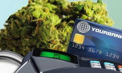 NORML Credit Card Shut Down