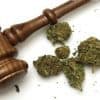 Supreme Court Rejects Lawsuit Against Colorado Cannabis Laws