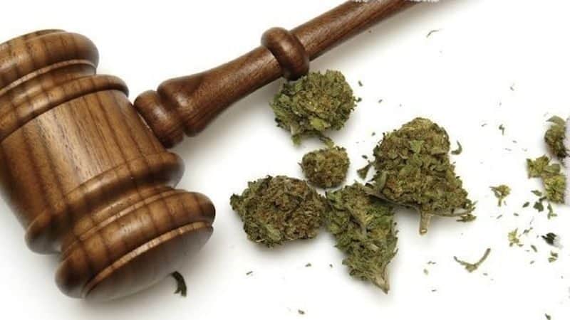 Supreme Court Rejects Lawsuit Against Colorado Cannabis Laws