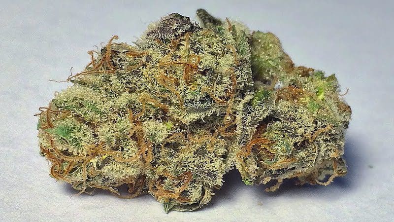 Replace Your Morning Coffee With These 4 Strains