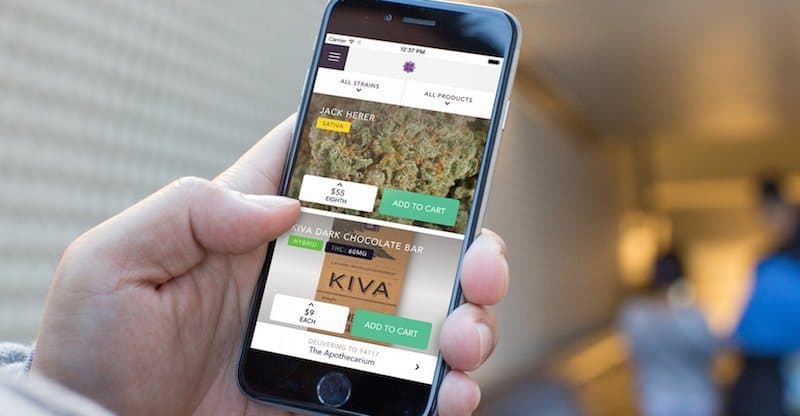 Cannabis Start Up Meadow, Raises $2.1M From Big Name Investors