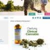 Walgreens Medical Marijuana Website Sparks Speculation