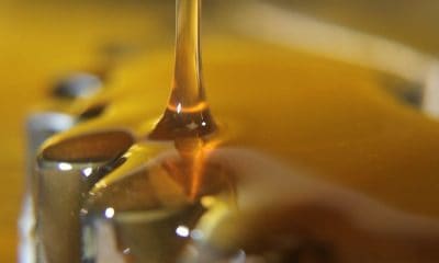 Federal Laws Are Ruining Your Cannabis Oil, Here's Why