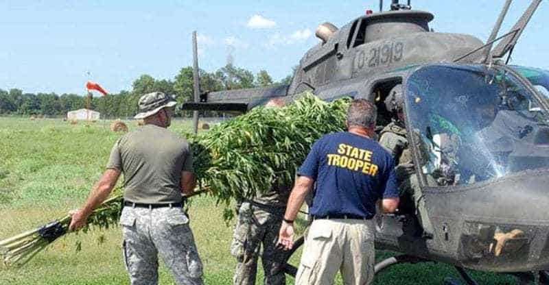 DEA Spent $18M in Taxpayer Money Last Year Killing Cannabis Plants