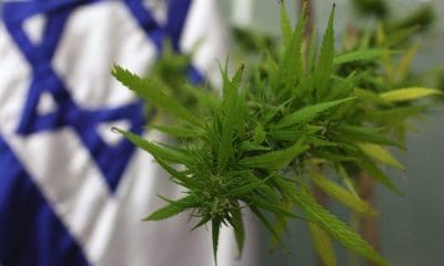 Israel Could Be The Next World Leader In Medical Marijuana
