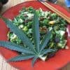 New Report: Scientists Have Crossbred Cannabis and Kale