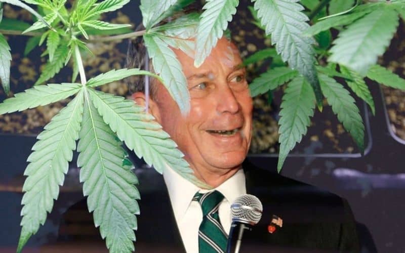 The 15 Most Shocking Marijuana Consumers Of All Time
