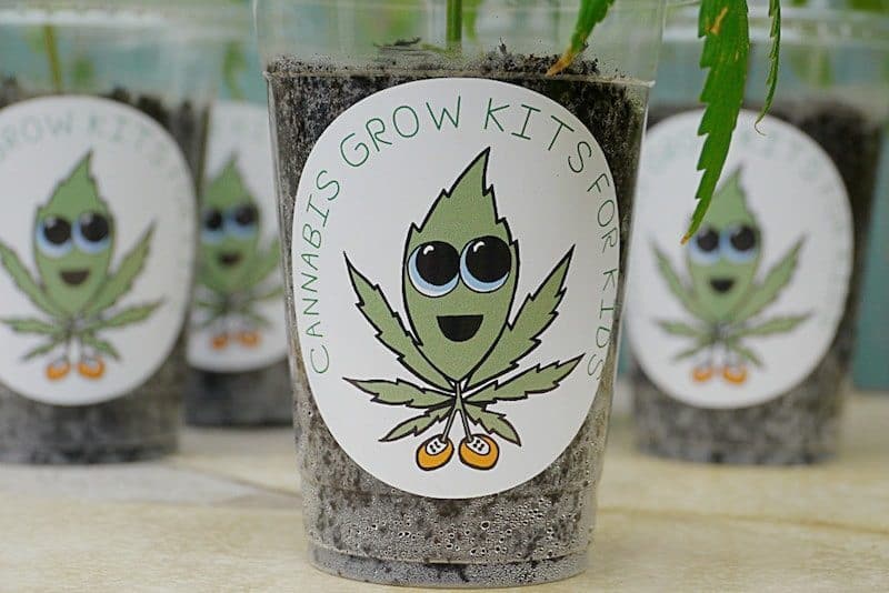 My First Grow - Cannabis Grow Kits For Kids