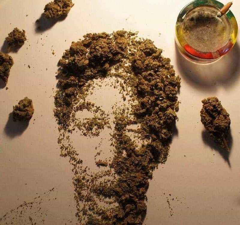 Marijuana Portraits Take Art World To All New "Highs"