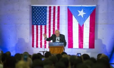 Bernie Sanders Promises to Legalize Cannabis At Puerto Rico Rally