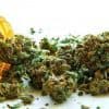 5 Ground-breaking Medical Marijuana Discoveries