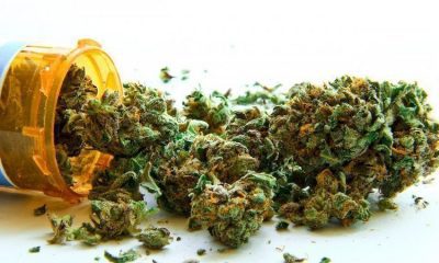 5 Ground-breaking Medical Marijuana Discoveries