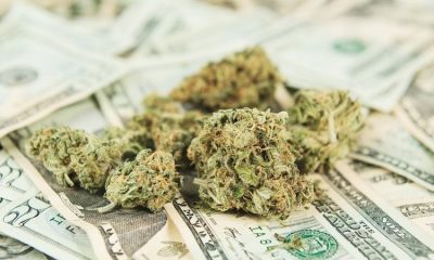 Experts Say Cannabis Legalization Would Generate $28B in Tax