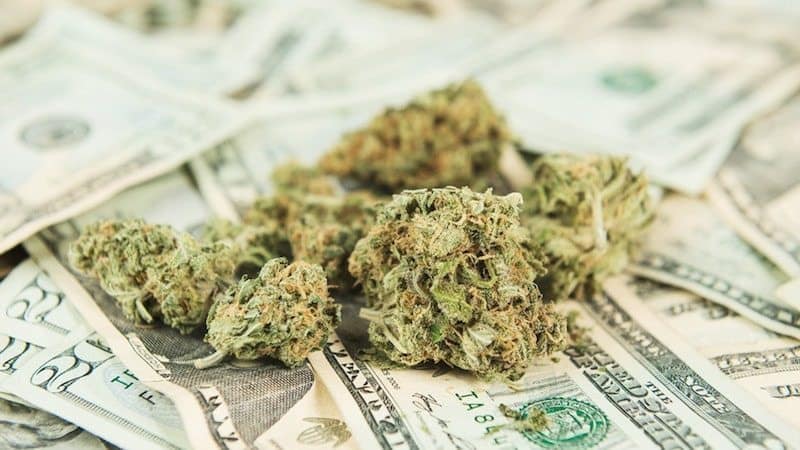 Experts Say Cannabis Legalization Would Generate $28B in Tax
