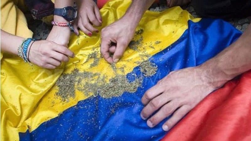 Colombia Set To Begin Growing Medical Marijuana