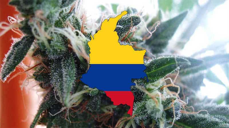 Colombia Set To Begin Growing Medical Marijuana