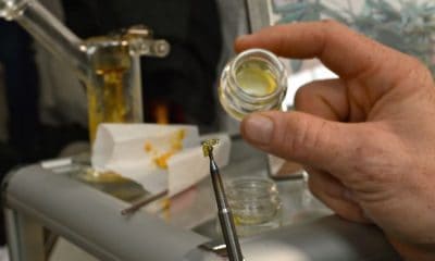 Dabbing For Dummies: A Beginner’s Guide To Dabs