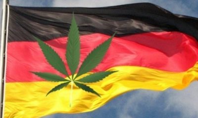 Germany Will Legalize Medical Marijuana By 2017, Says Minister of Health