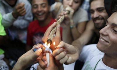 Science Shows That Marijuana Smokers are More Loyal