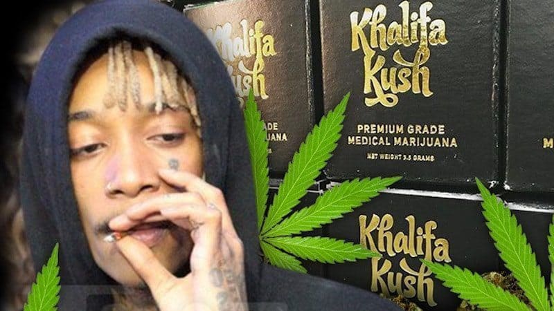 Wiz Khalifa Announces New Line Of Cannabis-Infused Beer