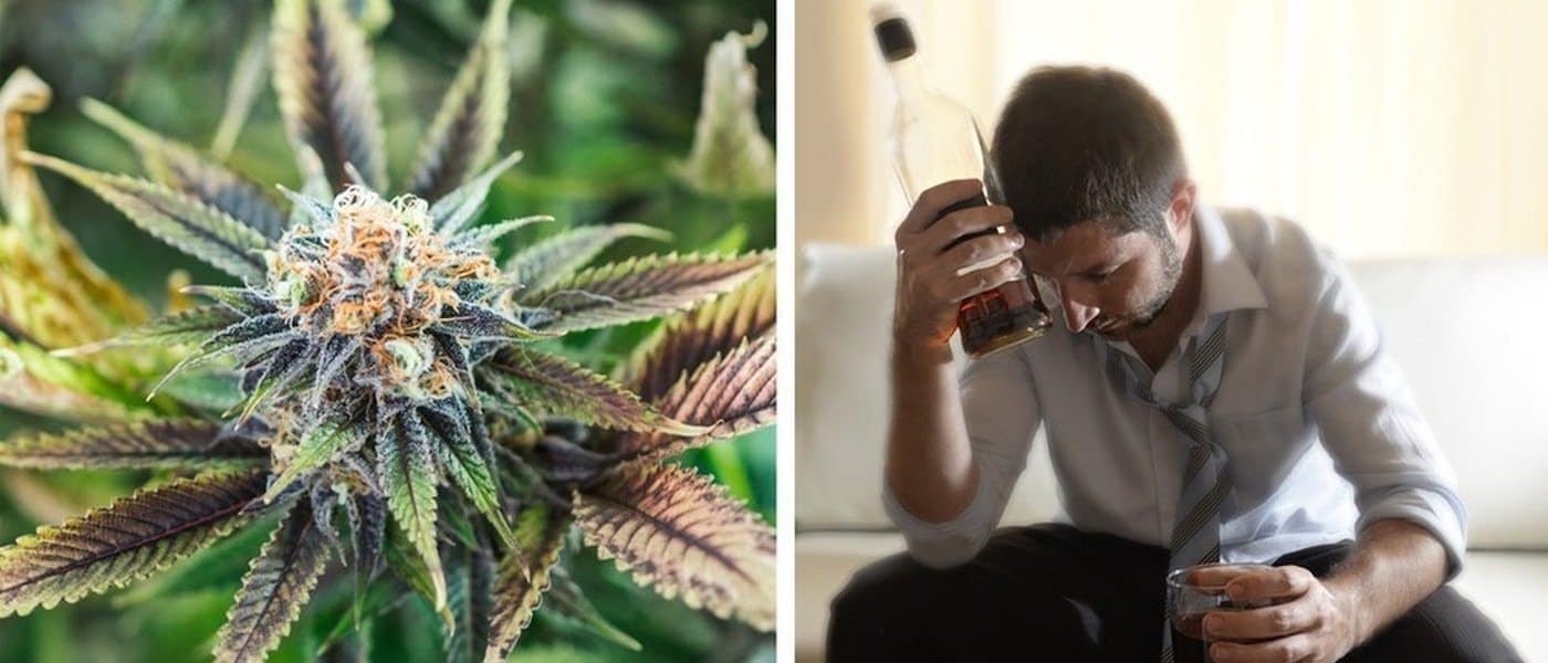 Drinking Alcohol Is 114 Times More Dangerous Than Smoking Weed