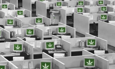 5 Cannabis Industry Jobs In "High" Demand