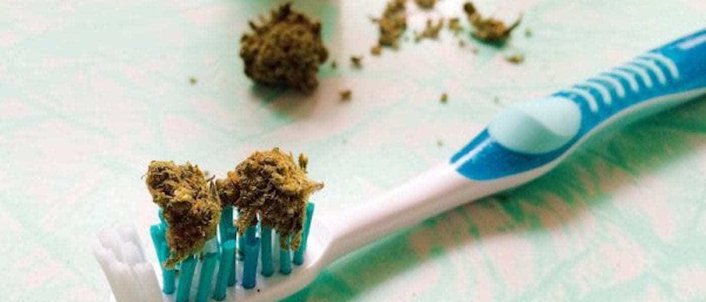 Best Toothpaste For Weed Smokers
