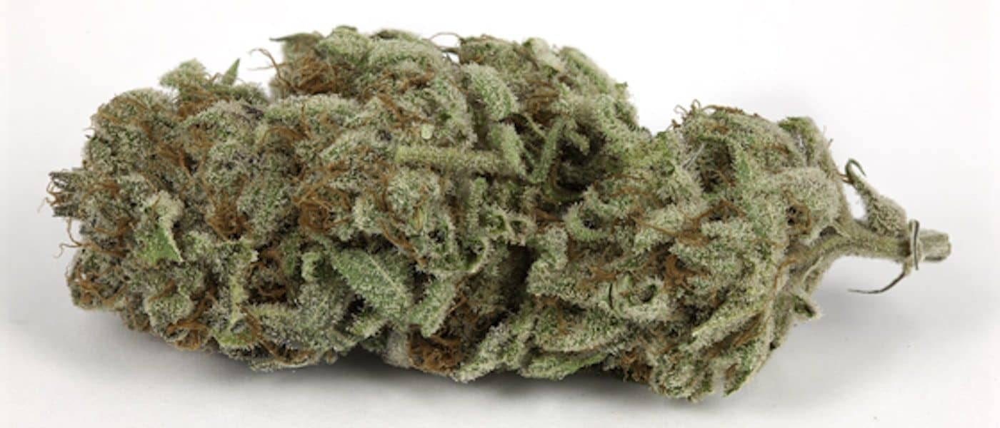 Trainwreck Strain Information and Review