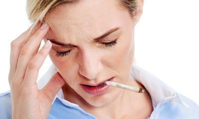 Are Daily Pot Smokers Less Susceptible To Headaches?