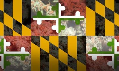 How To Qualify for Medical Marijuana in Maryland
