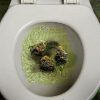 How Long Does THC Stay in Your Urine?