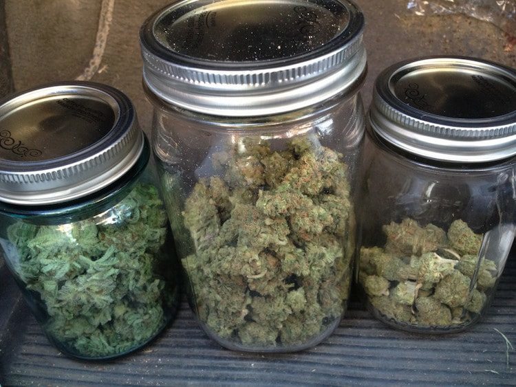 5 Containers To Store Your Weed