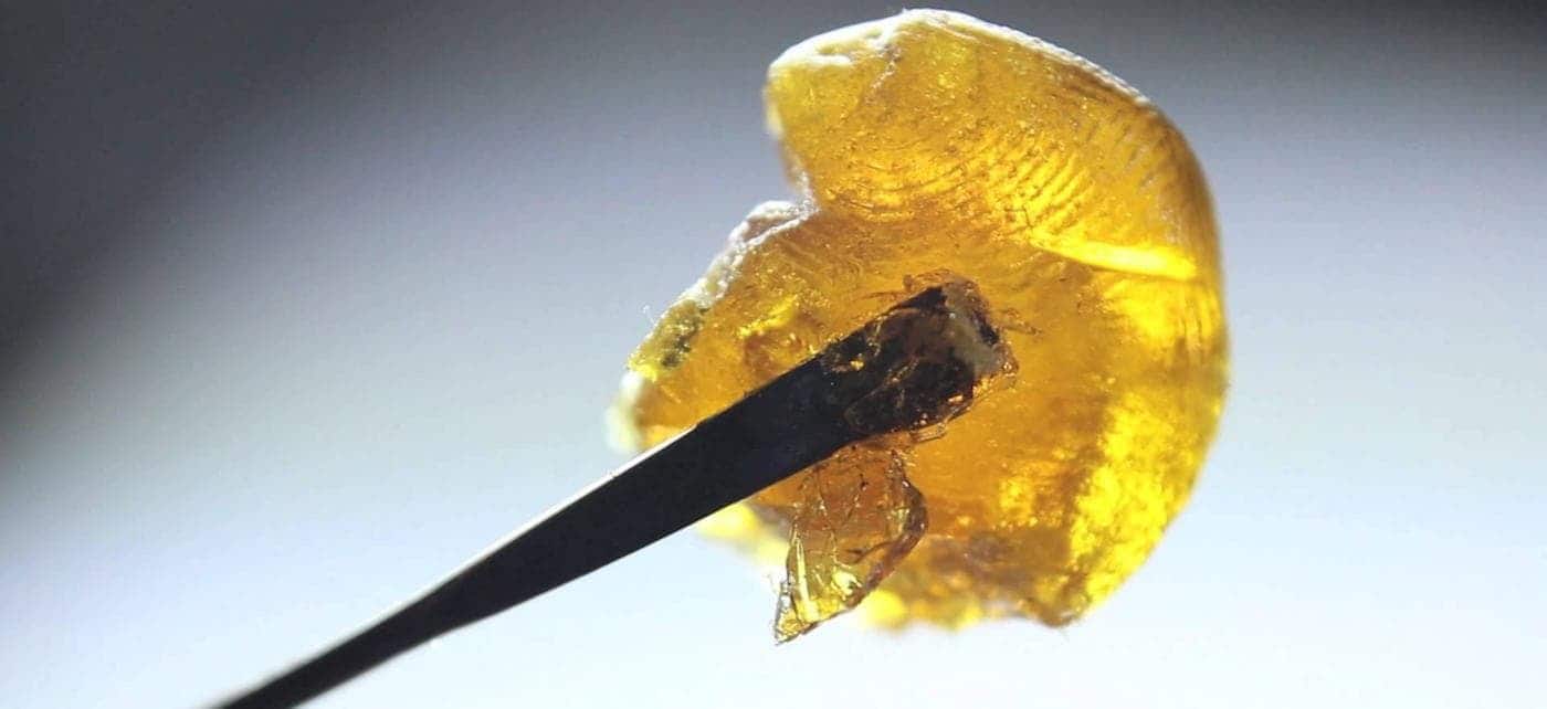 The World of Cannabis Concentrates
