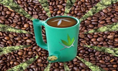 These Cannabis and Coffee Combinations Will Create Euphoric Highs