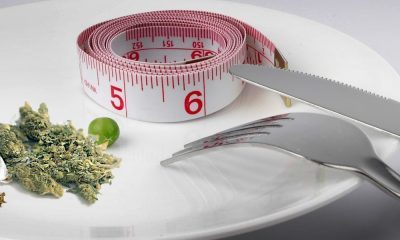 Cannabis Treatment For Anorexia