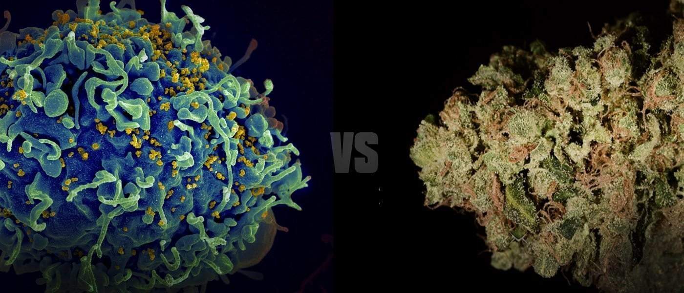 Cannabis Can Effectively Treat A Multitude Of HIV/AIDS Symptoms