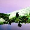 Cannabis smell causes plane to emergency land