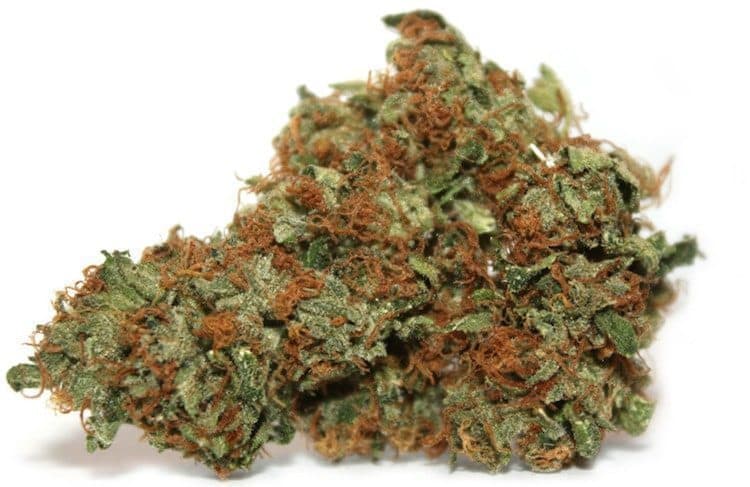 Chemdawg Strain Review And Information