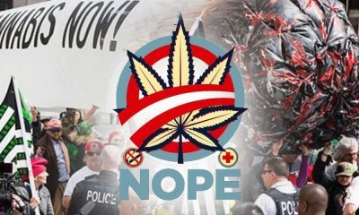 Why Some Activists Are Opposed To Cannabis Legalization Bills