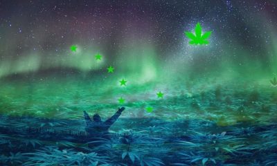 How to Qualify for Medical Marijuana in Alaska