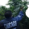 Illinois Becomes The 21st State To Decriminalize Marijuana