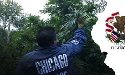 Illinois Becomes The 21st State To Decriminalize Marijuana